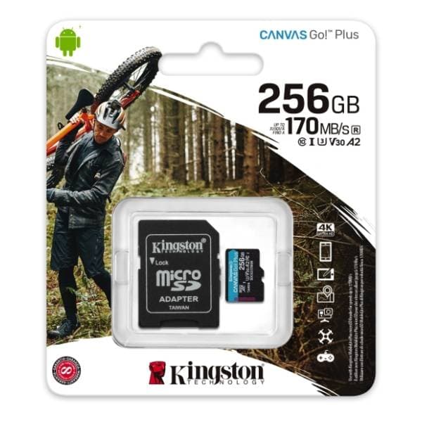 KINGSTON memorijska kartica 256GB SDCG3/256GB 3