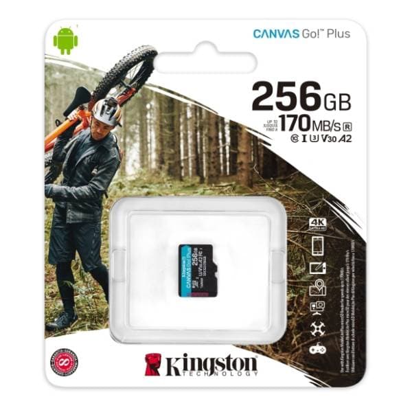 KINGSTON memorijska kartica 256GB SDCG3/256GBSP 3