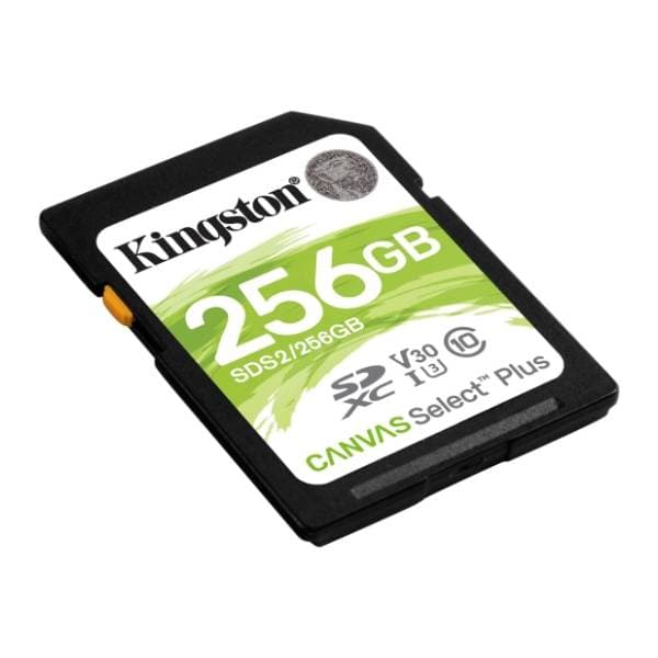 KINGSTON memorijska kartica 256GB SDS2/256GB 1