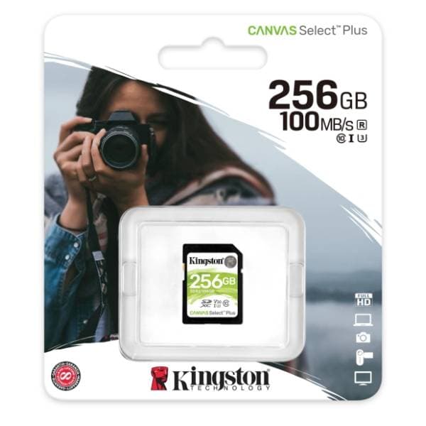 KINGSTON memorijska kartica 256GB SDS2/256GB 2
