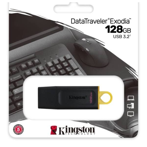 KINGSTON USB flash memorija 128GB DTX/128GB 3