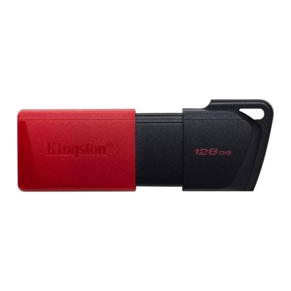 KINGSTON USB flash memorija 128GB DTXM/128GB 1