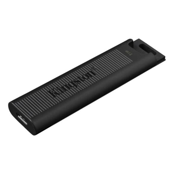 KINGSTON USB flash memorija 1TB DTMAX/1TB 2