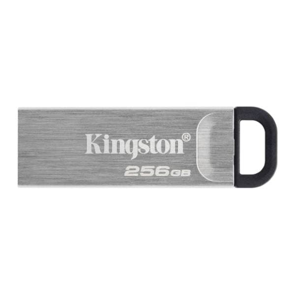 KINGSTON USB flash memorija 256GB DTKN/256GB 1