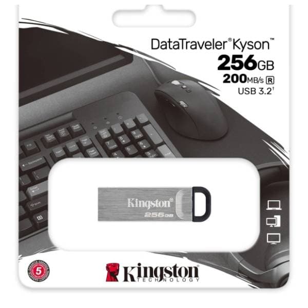 KINGSTON USB flash memorija 256GB DTKN/256GB 2