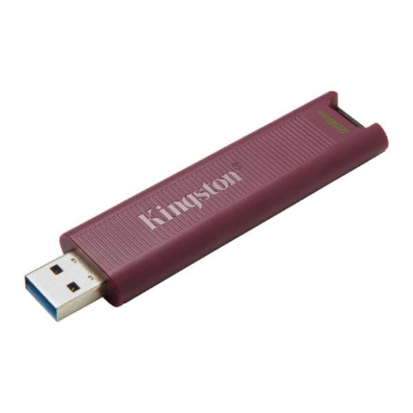 KINGSTON USB flash memorija 256GB DTMAXA/256GB 2