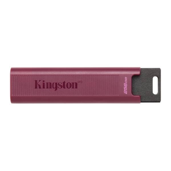 KINGSTON USB flash memorija 256GB DTMAXA/256GB 0