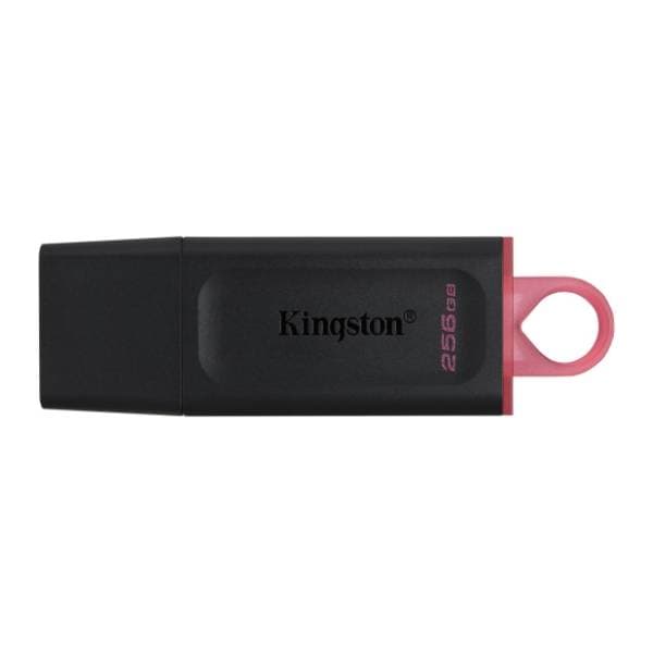 KINGSTON USB flash memorija 256GB DTX/256GB 1