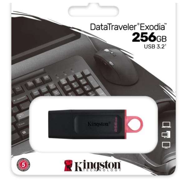 KINGSTON USB flash memorija 256GB DTX/256GB 2