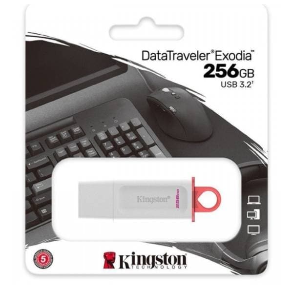 KINGSTON USB flash memorija 256GB KC-U2G256-5R 2