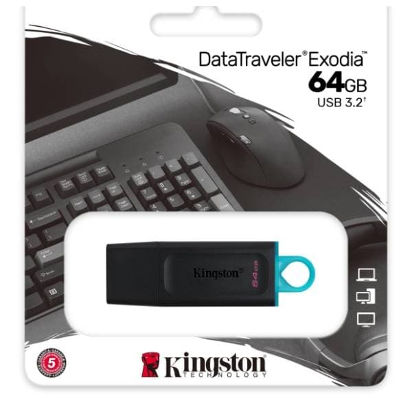 KINGSTON USB flash memorija 64GB DTX/64GB 3