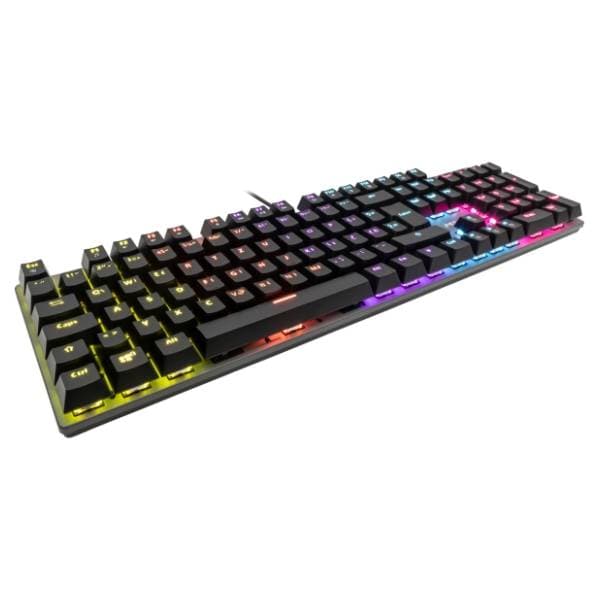 MS tastatura Elite C521 2