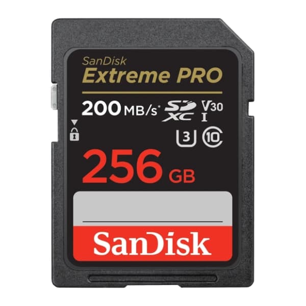 SanDisk memorijska kartica 256GB SDSDXXD-256G-GN4IN 0