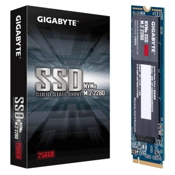 GIGABYTE SSD 256GB GP-GSM2NE3256GNTD 4