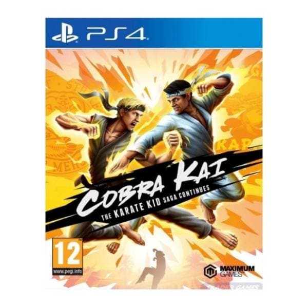 PS4 Cobra Kai: The Karate Saga Continues 0