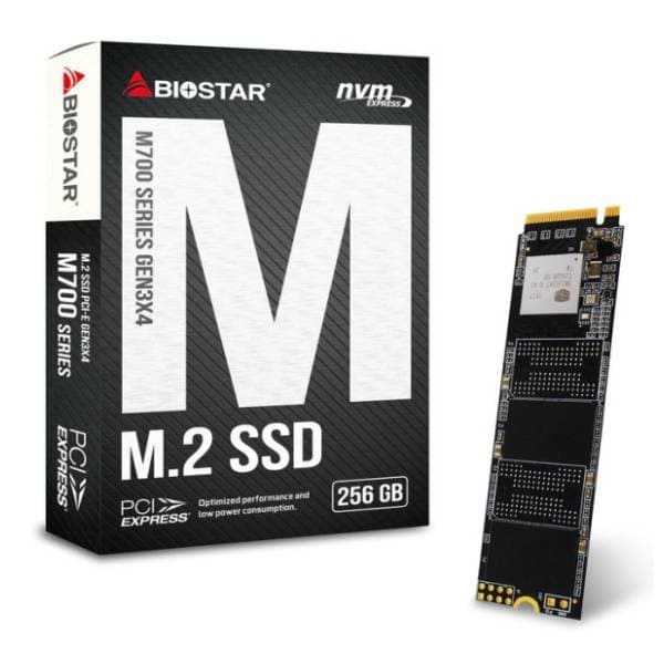 BIOSTAR SSD 256GB M720 0