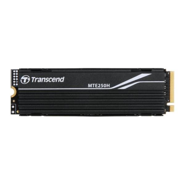 TRANSCEND SSD 2TB TS2TMTE250H 0