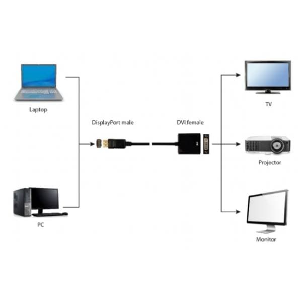 GEMBIRD konverter DisplayPort (m) na DVI-I (ž) 3