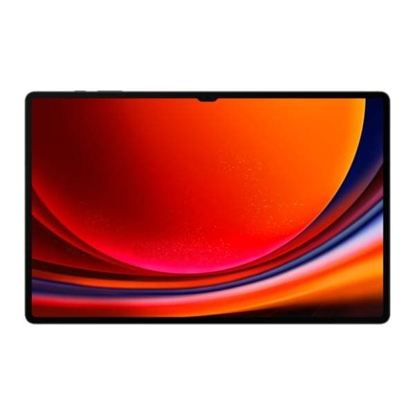 SAMSUNG Galaxy Tab S9 Ultra 12/256GB sivi 2