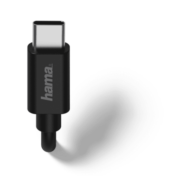 HAMA punjač USB-C 183242 2