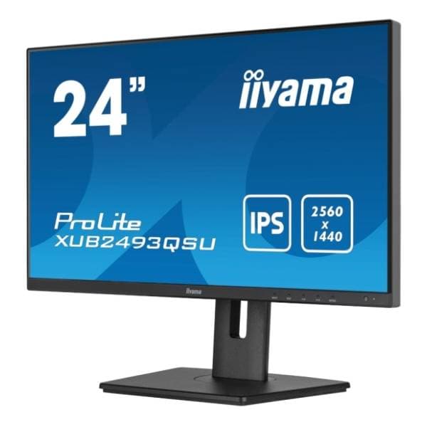 IIYAMA monitor ProLite XUB2493QSU-B5 2