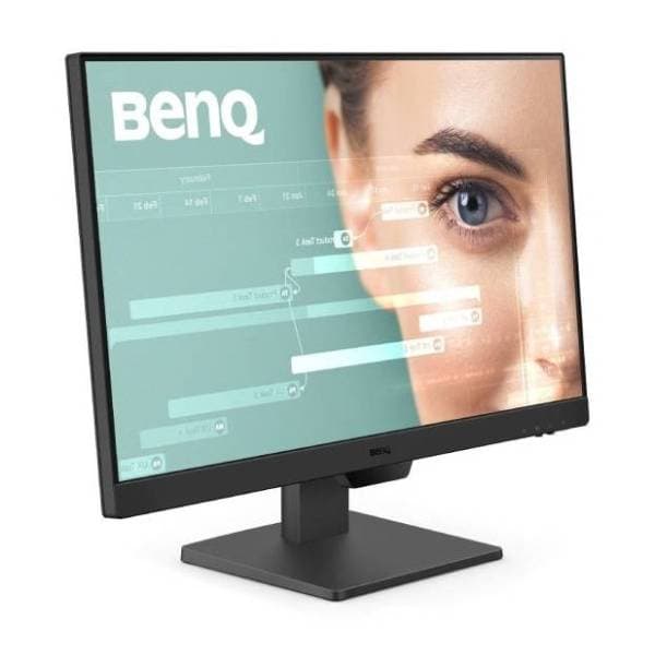 BENQ monitor GW2490 2