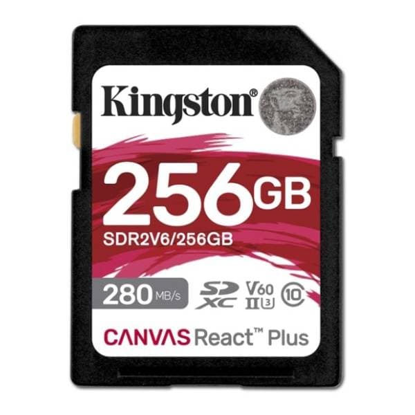 KINGSTON memorijska kartica 256GB SDR2V6/256GB 0