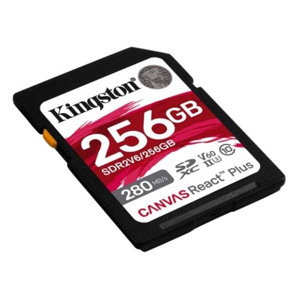 KINGSTON memorijska kartica 256GB SDR2V6/256GB 1