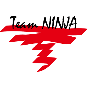 team-ninja
