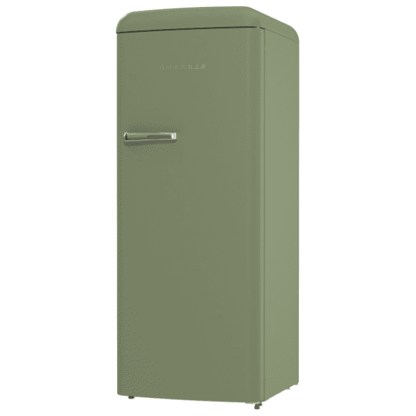 GORENJE frižider ORB615DOL 11