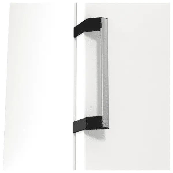 GORENJE frižider R619EAW6 1