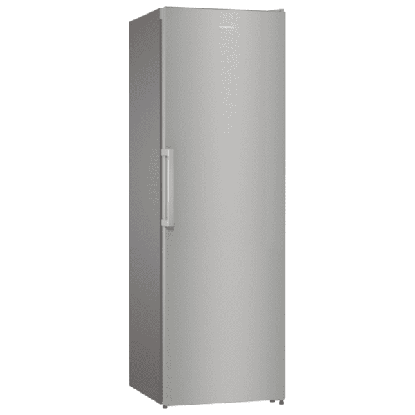 GORENJE frižider R619FES5 0