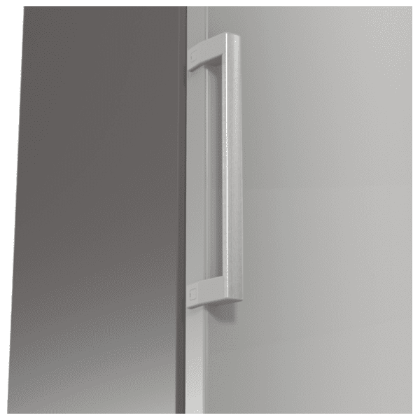 GORENJE frižider R619FES5 3