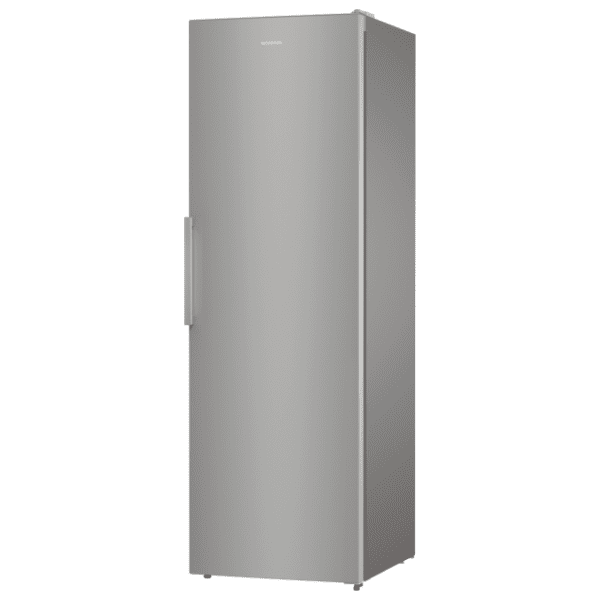 GORENJE frižider R619FES5 2