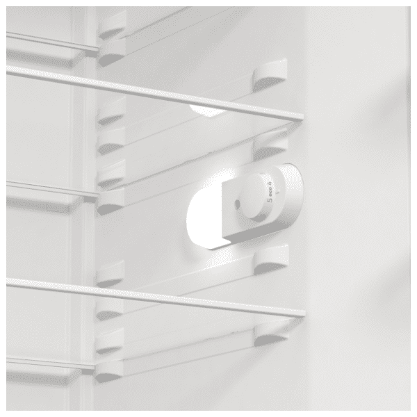 GORENJE frižider R619FES5 8