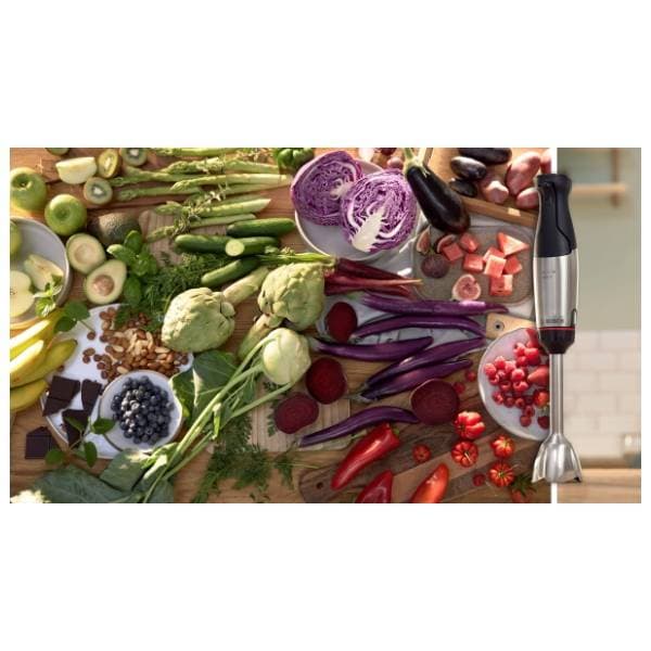 BOSCH štapni mikser MSM6M622 6