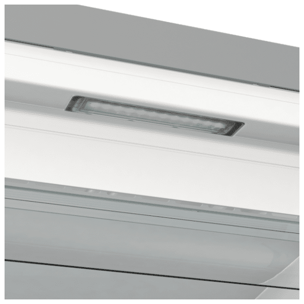 GORENJE zamrzivač FN619EAXL6 4