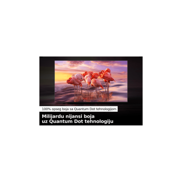 SAMSUNG QLED televizor QE50Q60BAUXXH 8