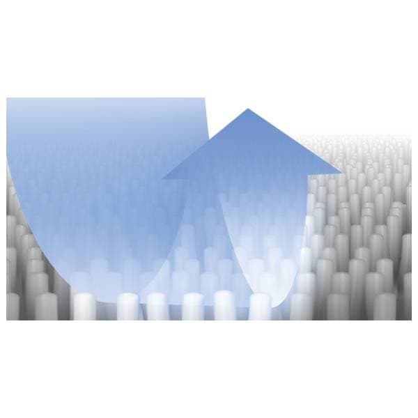 BOSCH set za čišćenje BBZWDSET 2