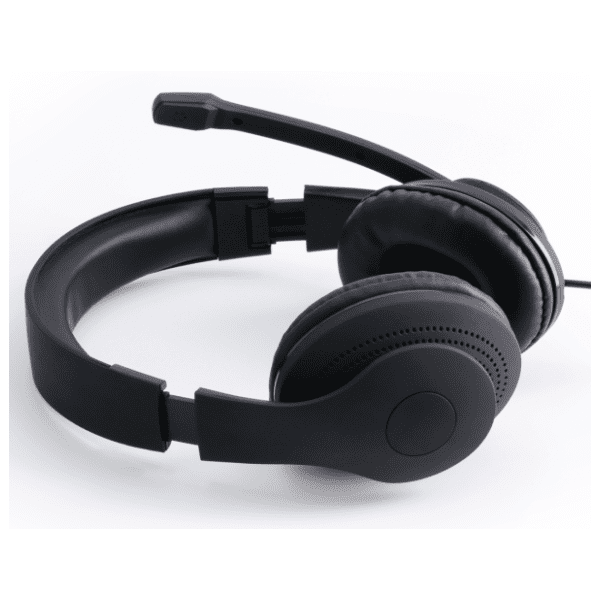 HAMA slušalice HS-USB300 2