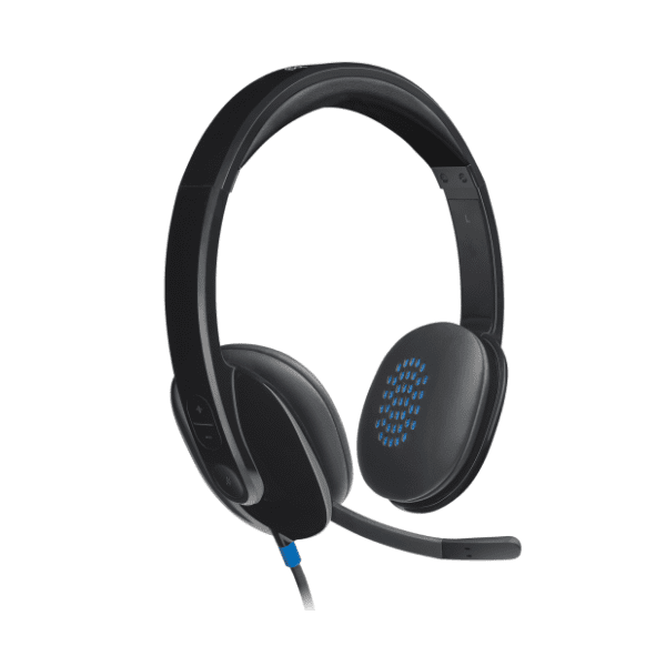 LOGITECH slušalice H540 USB 0