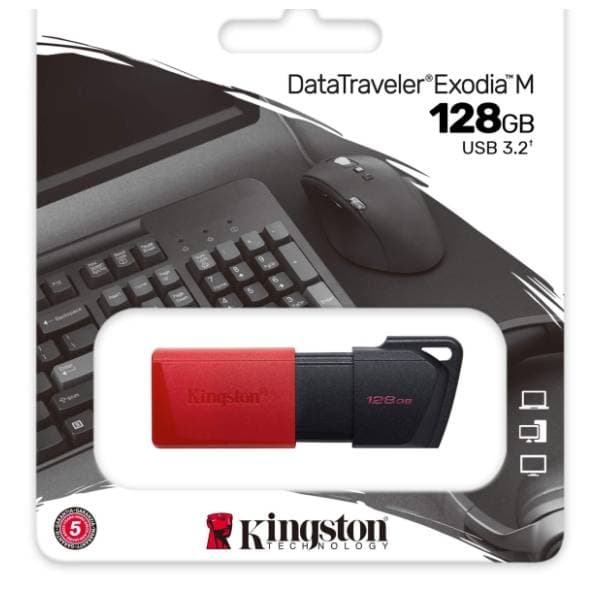KINGSTON USB flash memorija 128GB DTXM/128GB 3