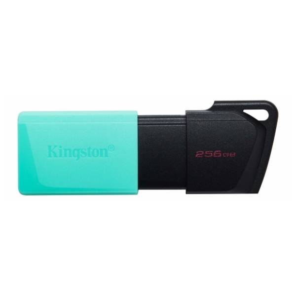 KINGSTON USB flash memorija 256GB DTXM/256GB 1