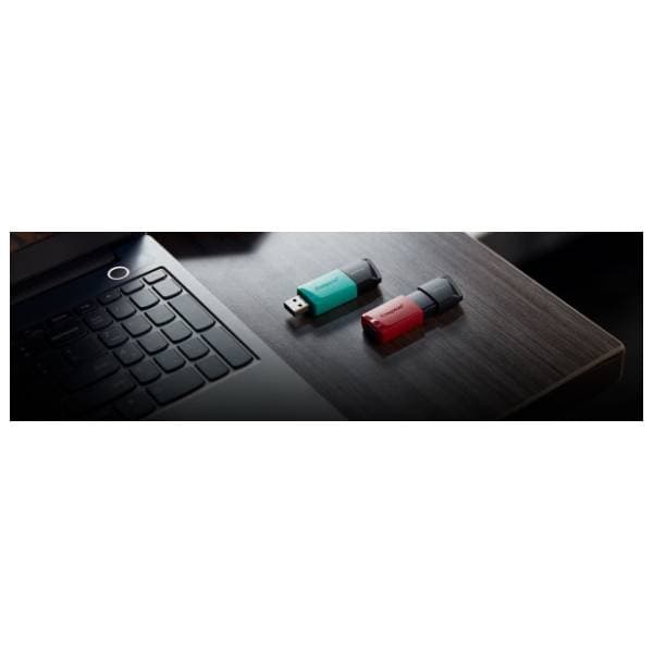 KINGSTON USB flash memorija 256GB DTXM/256GB 2
