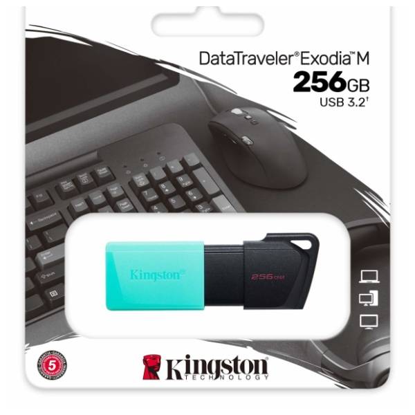 KINGSTON USB flash memorija 256GB DTXM/256GB 3