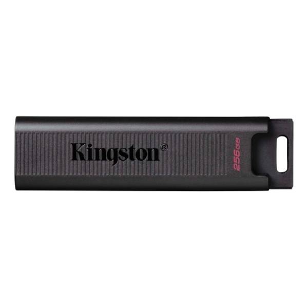 KINGSTON USB flash memorija 256GB DTMAX/256GB 0