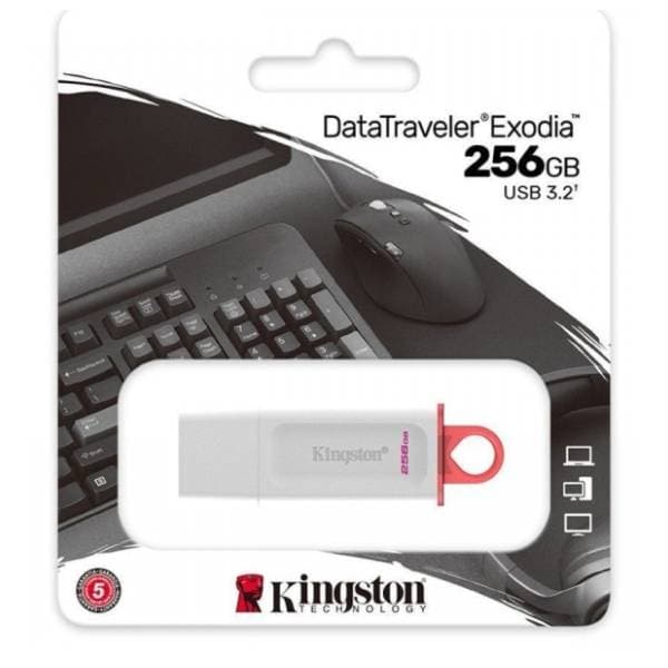 KINGSTON USB flash memorija 256GB KC-U2G256-5R 1