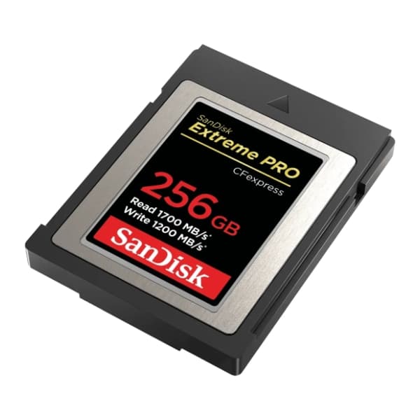 SanDisk memorijska kartica 256GB SDCFE-256G-GN4N 1