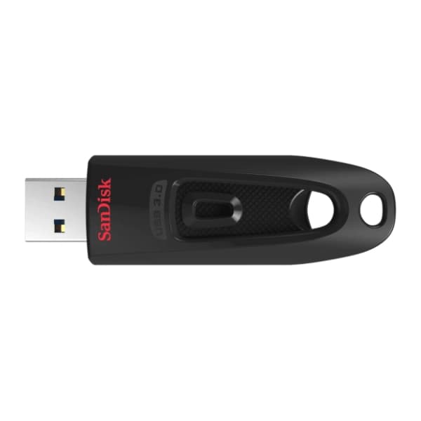 SANDISK USB flash memorija 256GB SDCZ48-256G-U46 2