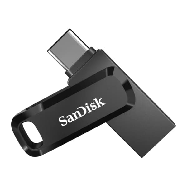 SanDisk USB flash memorija 256GB SDDDC3-256G-G46 1
